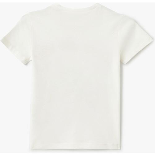 tshirt-ss-9b3-78.jpg