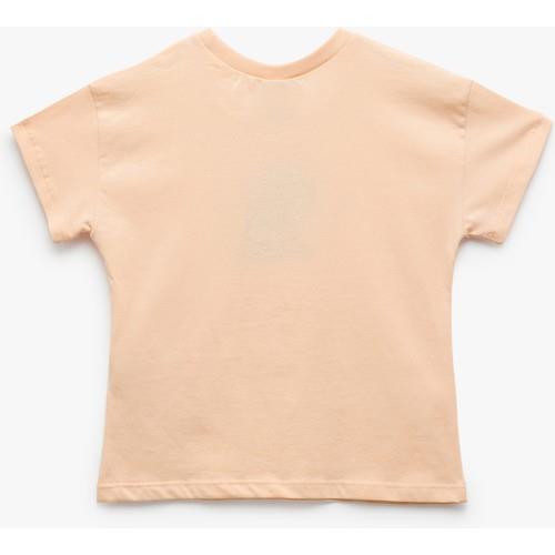 tshirt-ss-9e6298.jpg