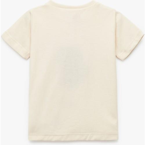 tshirt-ss-b0e7e4.jpg