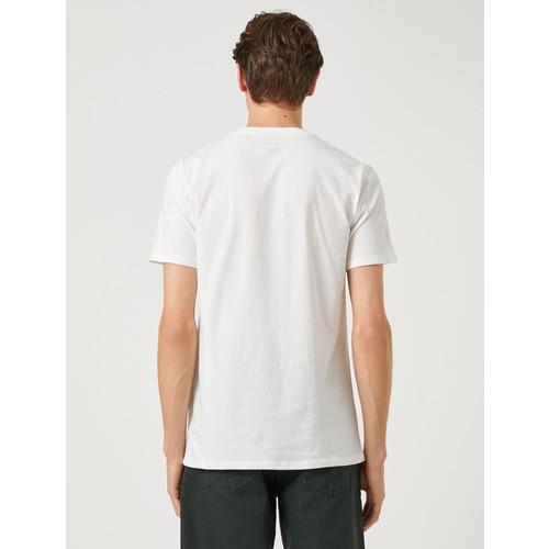tshirt-ss-bsc-fb-bc6.jpg