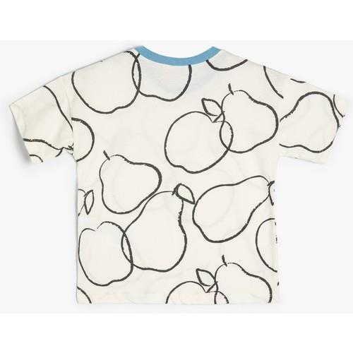 tshirt-ss-c86e50.jpg