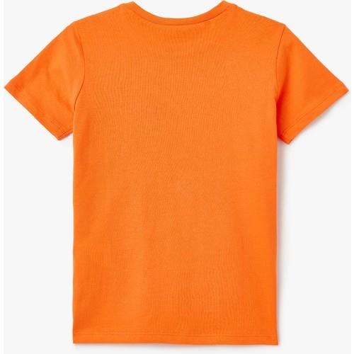 tshirt-ss-cd4-ec.jpg
