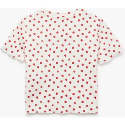 tshirt-ss-d32c66.jpg
