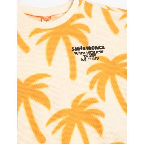 tshirt-ss-dc-80e.jpg