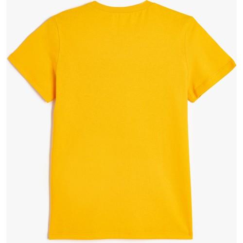 tshirt-ss-e2-1f9.jpg