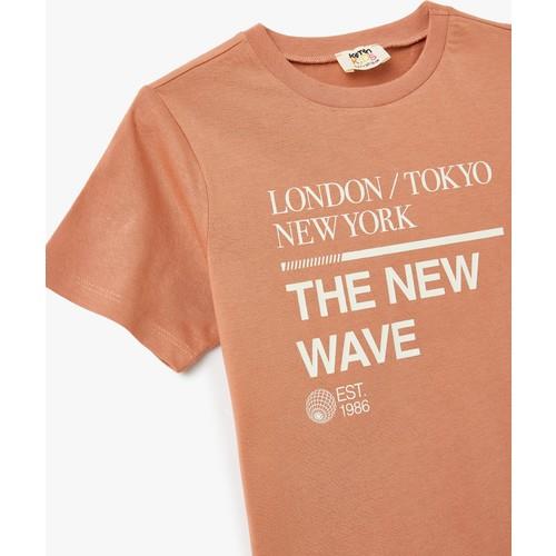 tshirt-ss-e7f31a.jpg