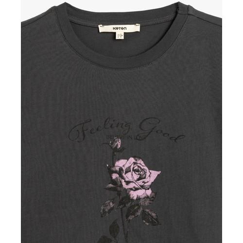 tshirt-ss-e96cff.jpg