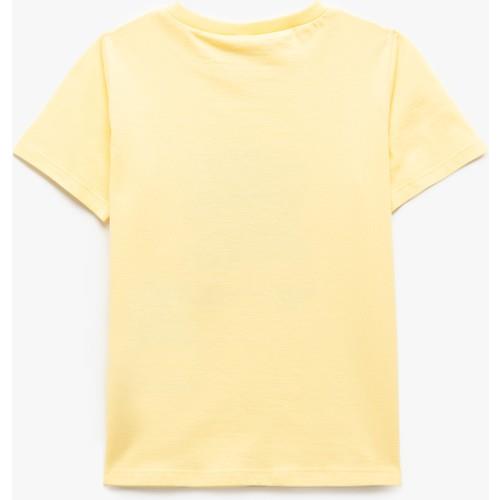 tshirt-ss-ea9f67.jpg