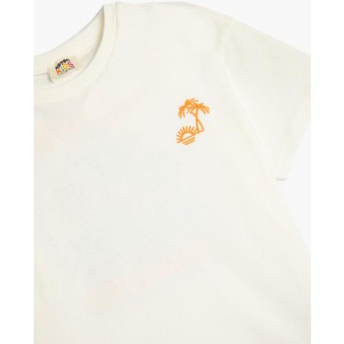 tshirt-ss-eec0d7.jpg