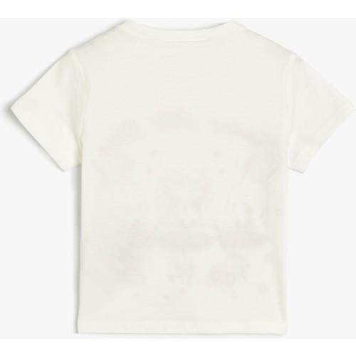 tshirt-ss-ef2d0c.jpg