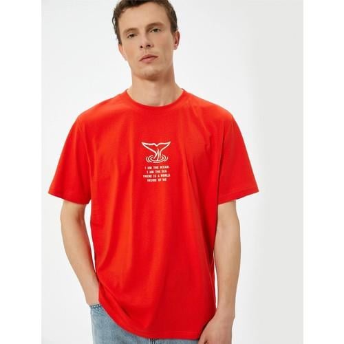 tshirt-ss-ef8572.jpg