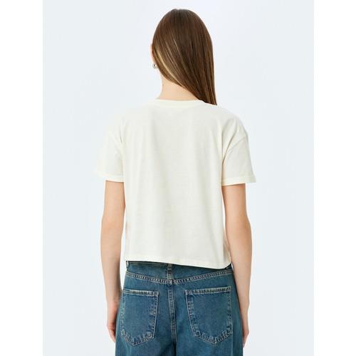 tshirt-ss-f50966.jpg