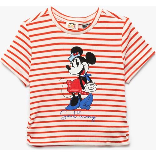 tshirt-ss-f54-c1.jpg