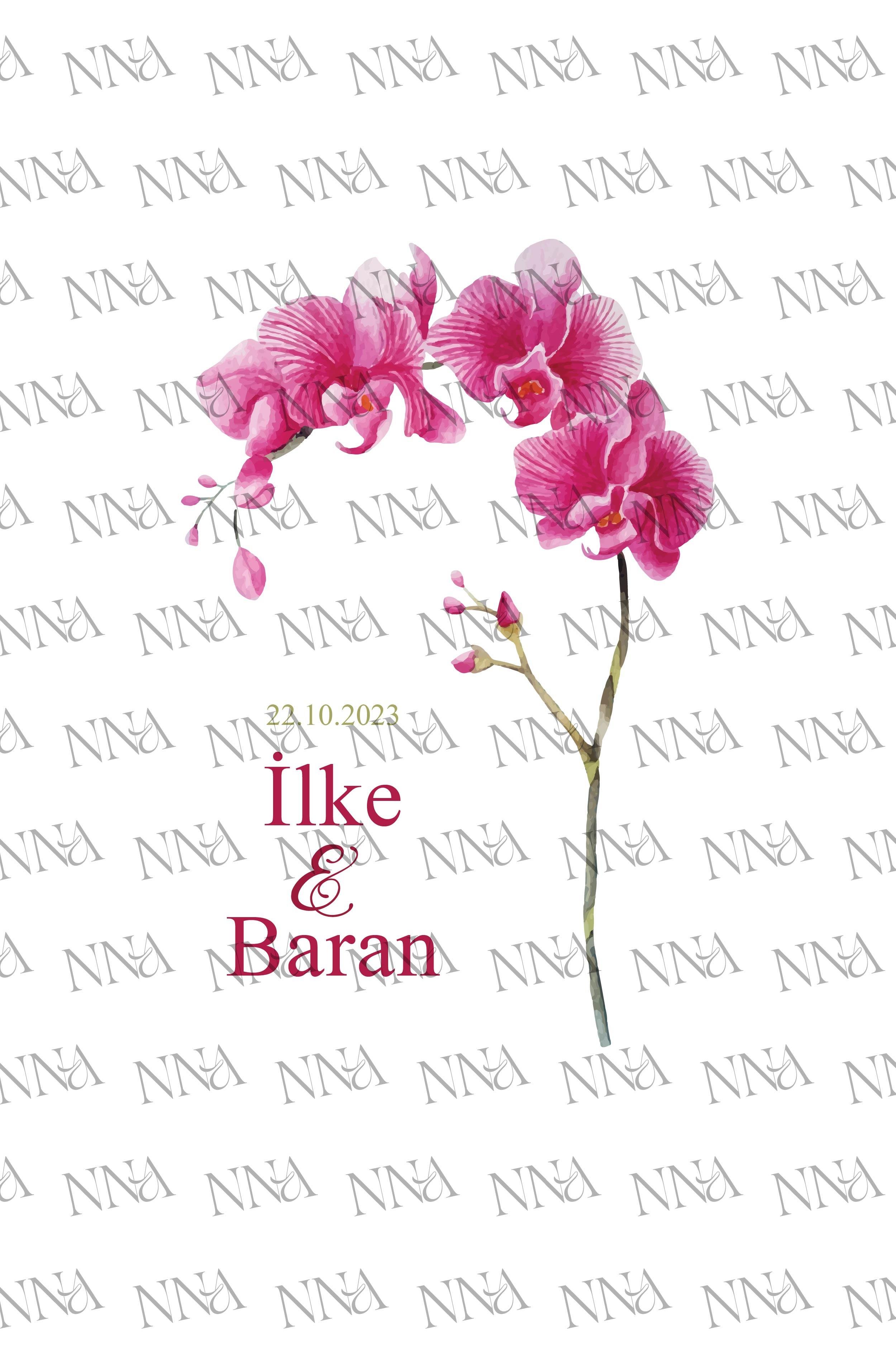 ORKİDE PEÇETE (A01)