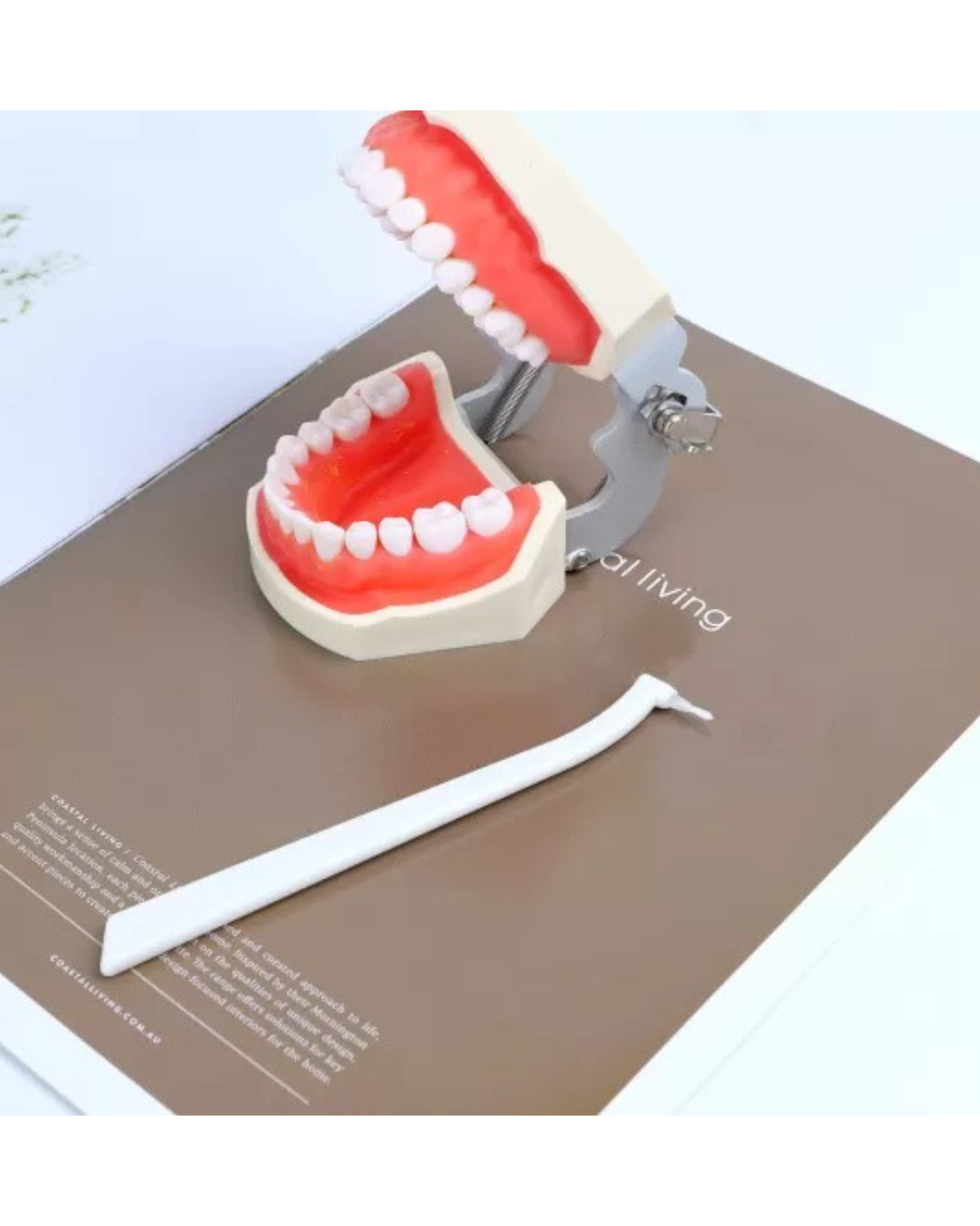 Cotisen Brush Holder -Mikro Aplikatör Tutucu El AletiCOTİSEN