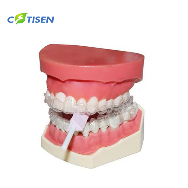 Cotisen Dental Aligner Diş Hizalama Çiğneme Aparatı