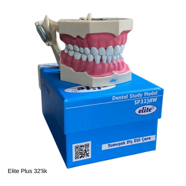 Elite Plus Fantom Çene Diş Etli -32'lik 