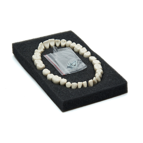 Fuji Fantom Çene Diş yedekleri 32 lik Ekonomik Paket