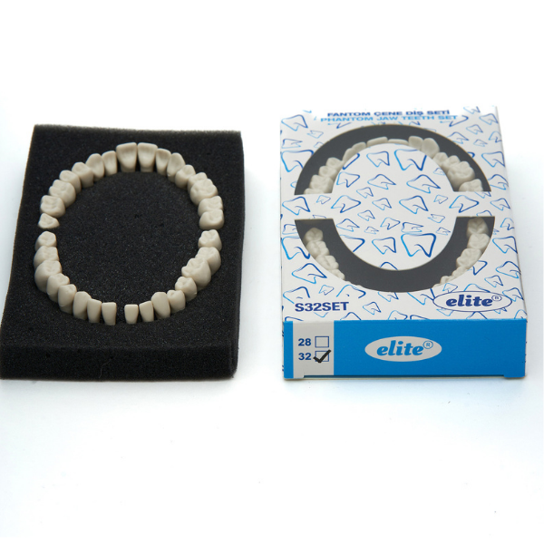 Fuji Fantom Çene Diş yedekleri 32 lik Ekonomik Paket