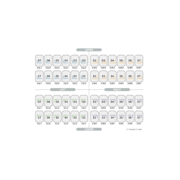 Kids Crown PÇK Paslanmaz Çelik Kron Seti Molar 96 lık Kit
