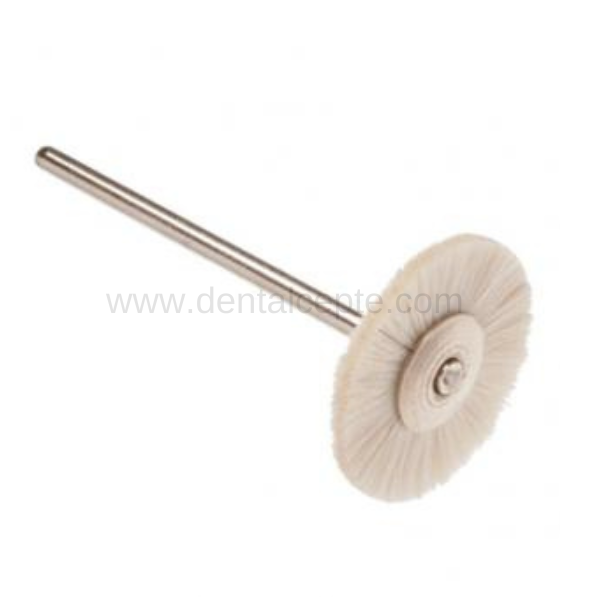 Kıl Fırça - Piyasemen İçin