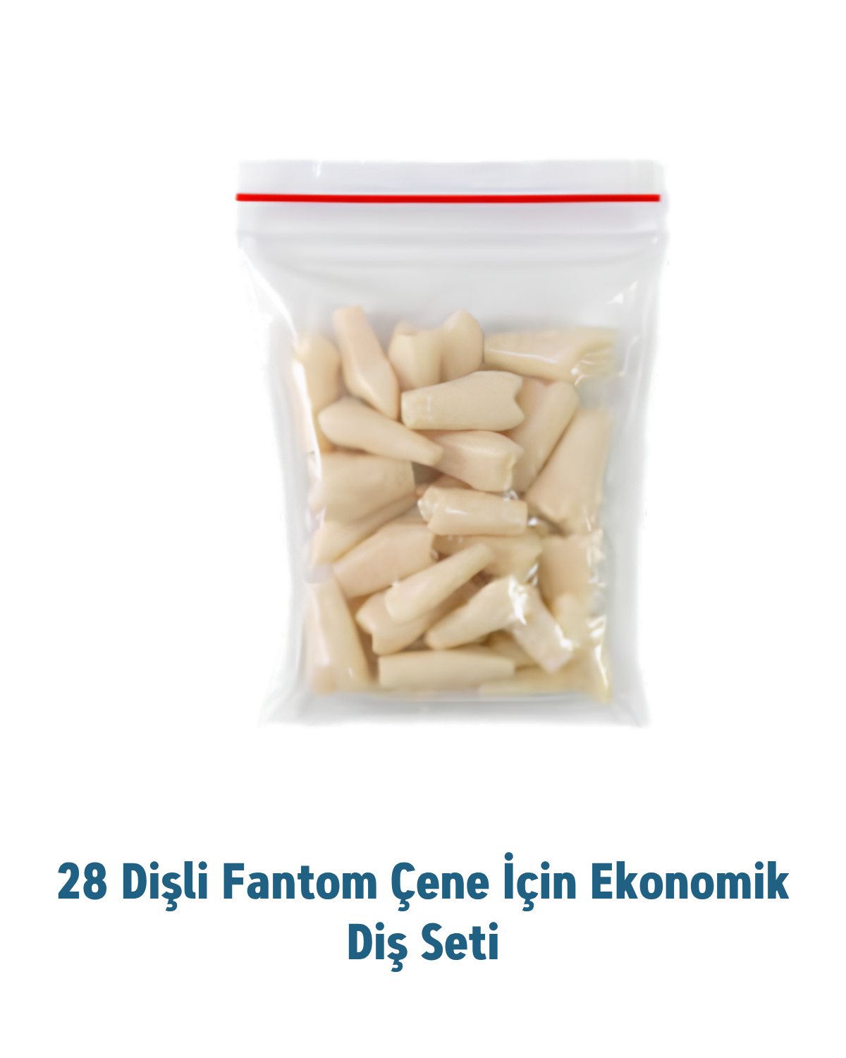 Mall Of Dent ( Dax) 28lik Diş Etli çene için Ekonomik Diş Seti MALL OF DENT