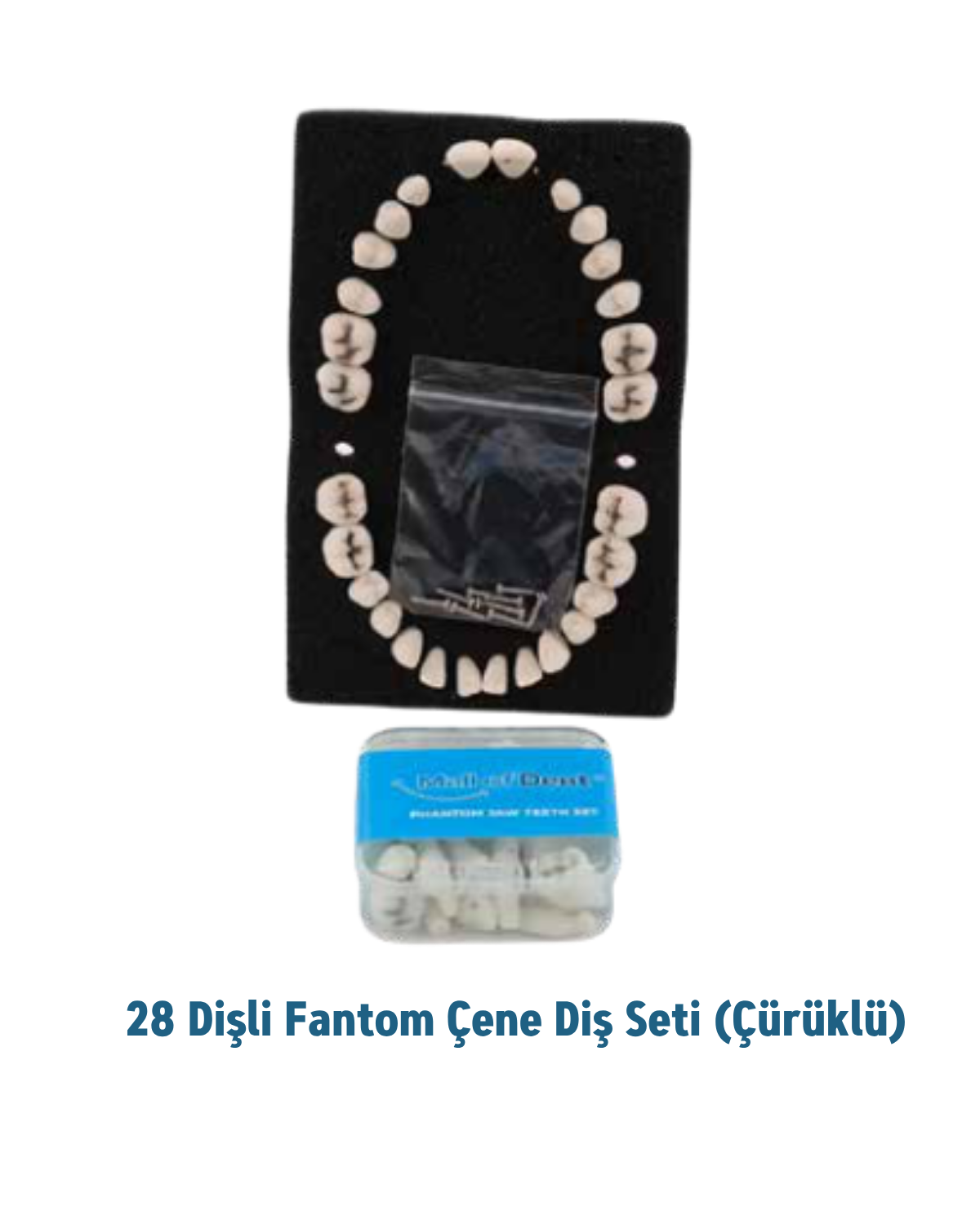 Mall Of Dent ( Dax) 28lik Diş Etli çene için Çürüklü Diş SetiMALL OF DENTDAX 28LİK ÇENE MODELİ İÇİN ÇÜRÜKLÜ YEDEK DİŞ SETİ