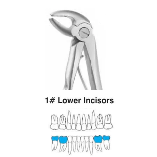 Perfect Pedo Alt Premolar Çekim Davyesi (Çocuk )