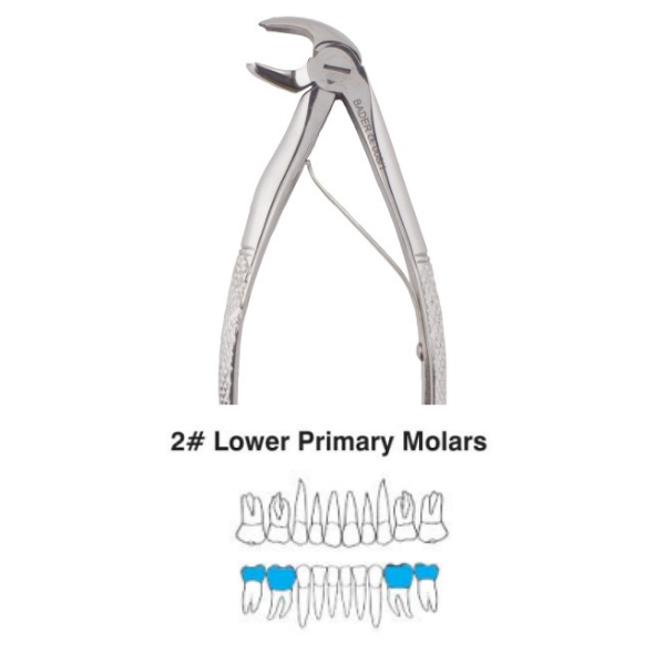 Perfect Pedo Alt Primary Çekim Davyesi (Çocuk)