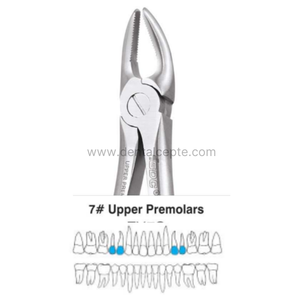 Perfect Üst Kök Premolar Çekim Davyesi Fig.7