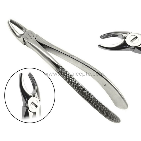 Perfect Üst Kök Premolar Çekim Davyesi Fig.7