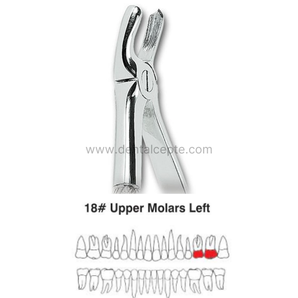 Perfect Üst Molar Sol Kök Davyesi Fig.18