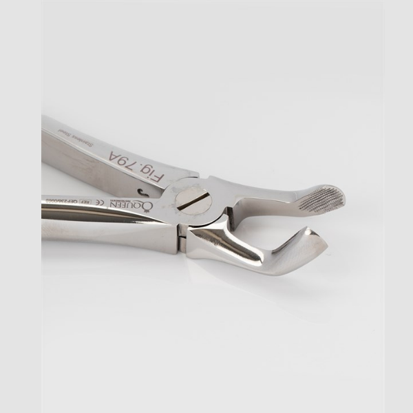 Queen Alt 20 Yaşlar Davyesi Fig. 79A 16,3cm