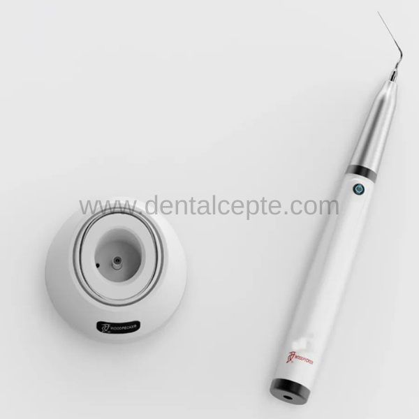 Woodpecker Endo 1 Ultrasonik Aktivatör