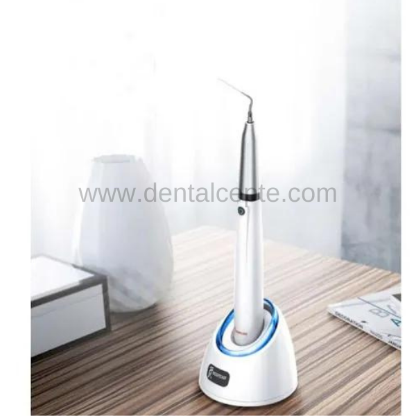 Woodpecker Endo 1 Ultrasonik Aktivatör