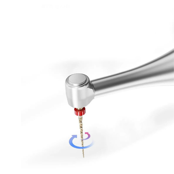 Woodpecker Endopace Endomotor (Resiproc ve Rotary Mod )