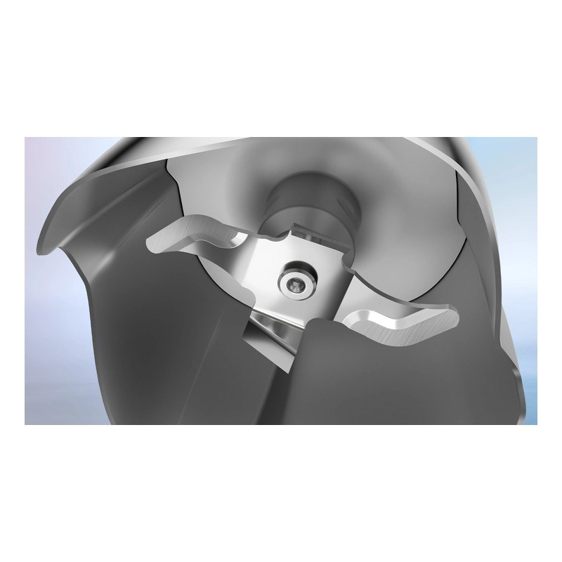 Bosch MSM6M910 Serie 6 El Blenderı
