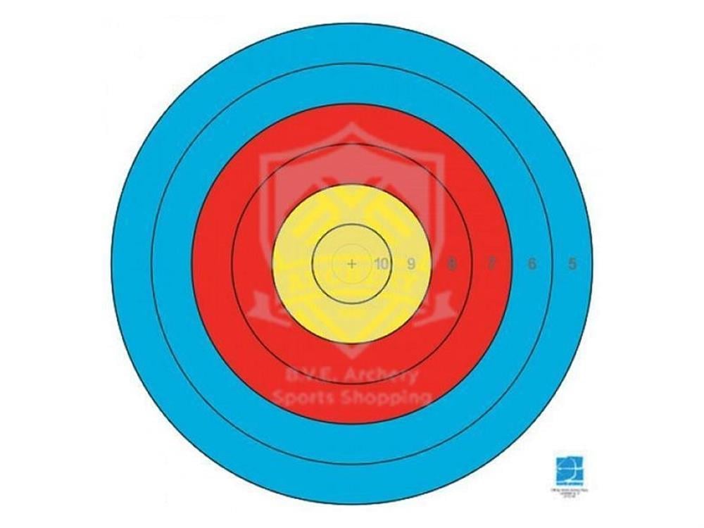 AVALON HEDEF KAĞIDI 80 CM 6 HALKA