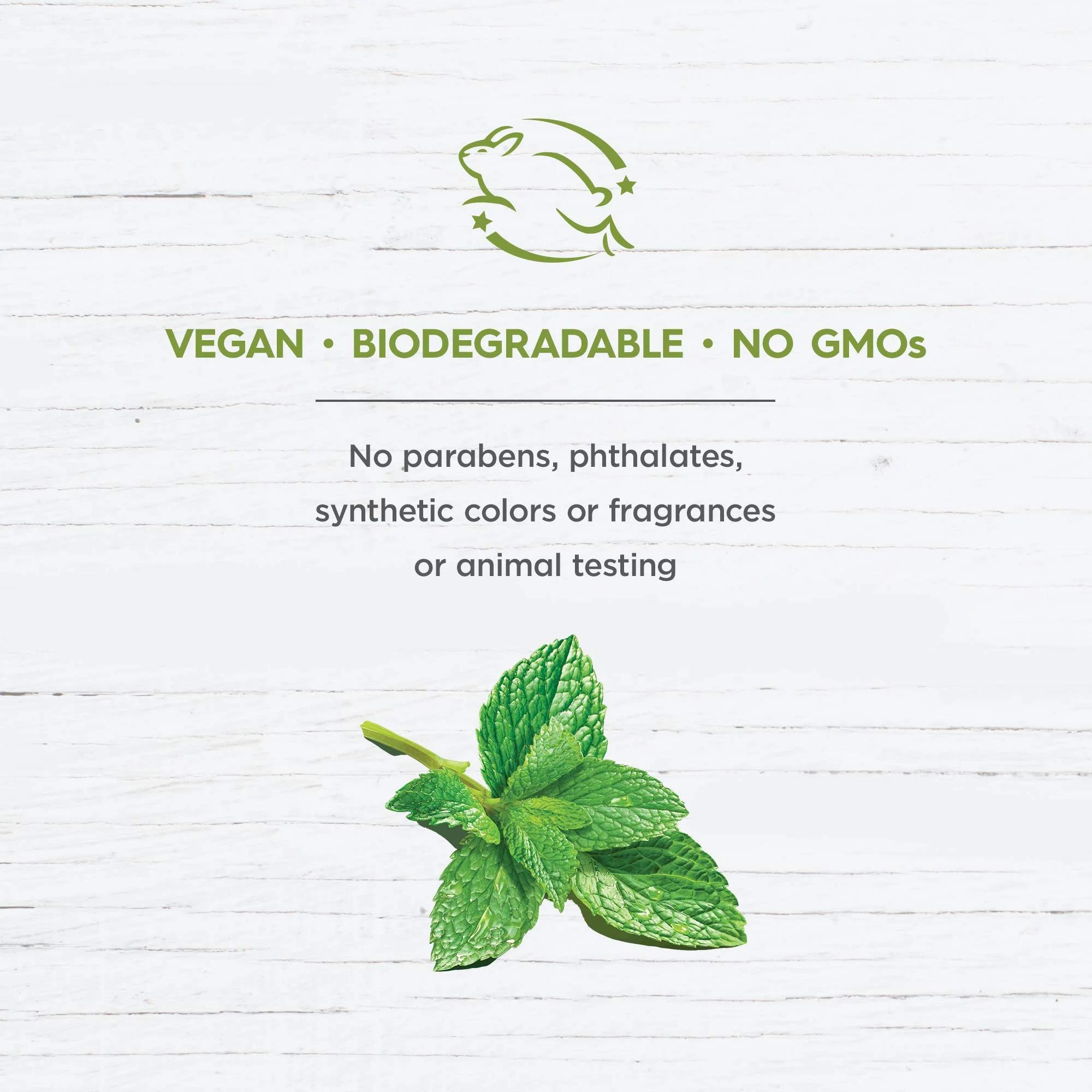 Avalon Organics C Vitaminli Krem 48 gr
