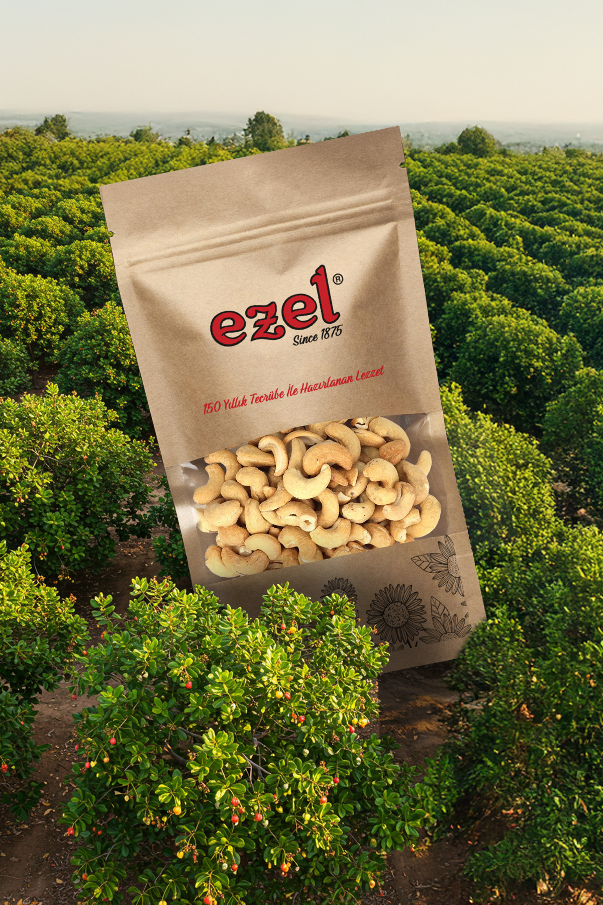 Ezel Kuruyemişleri Siirt Antep Fıstığı -Tuzlu Kavrulmuş Kaju Seti 250gr &Taze Paketlenmiş