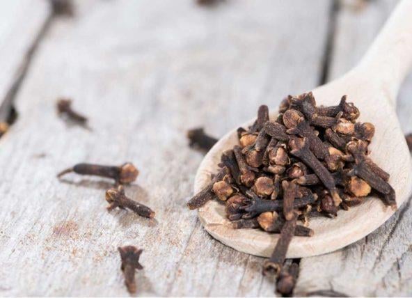 KARANFİL HİDROSOLÜ 1 KG