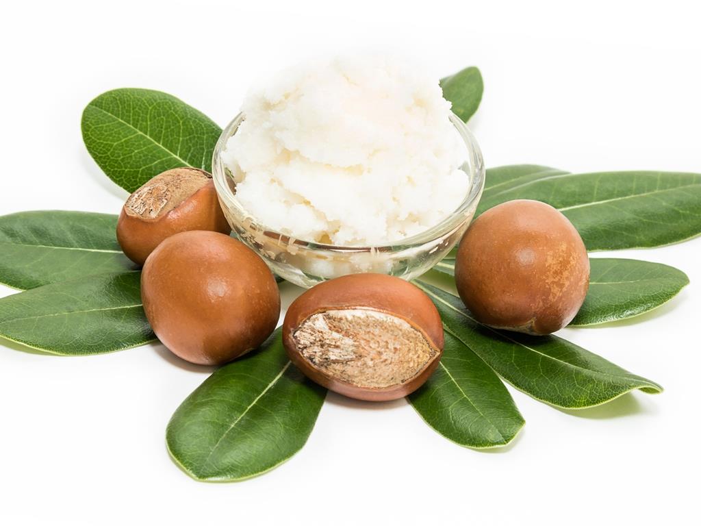 SHEA (BUTTER) YAĞI