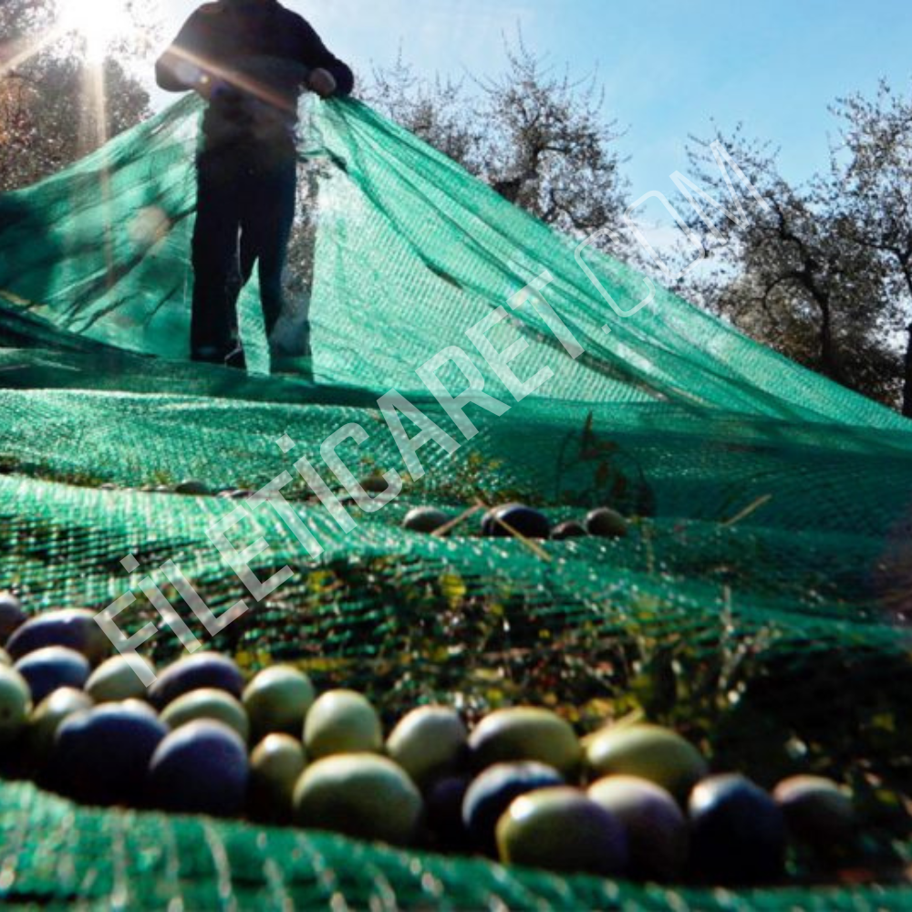%75- Zeytin Toplama Filesi - Yeşil