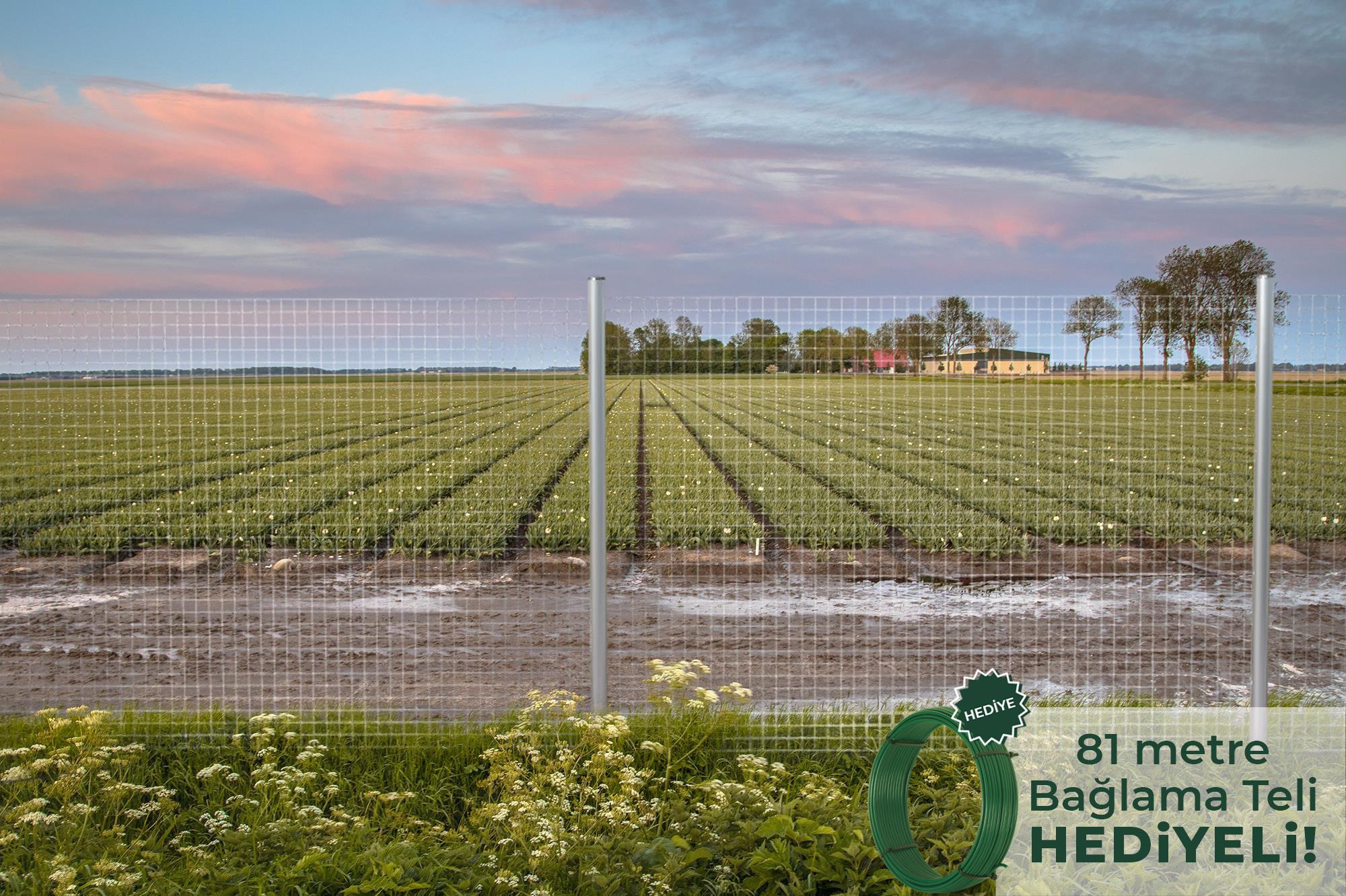 Galvaniz Puntalı Rulo Tel Çit 200 cm / 25 Metre