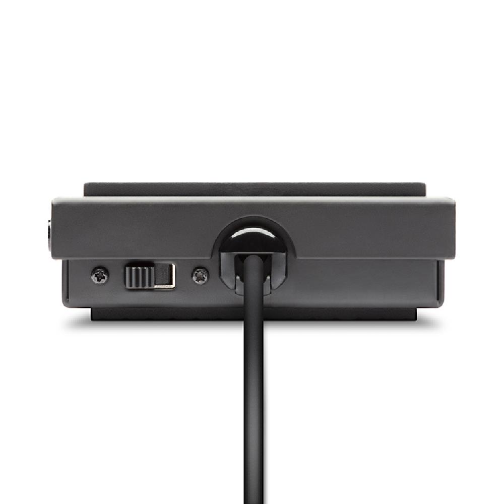 ALESIS ASP1MKII Sustain Pedalı