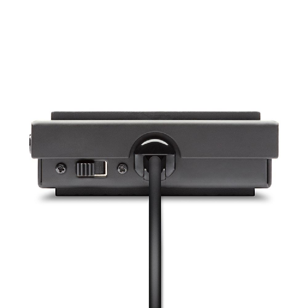 ALESIS ASP1MKII Sustain Pedalı