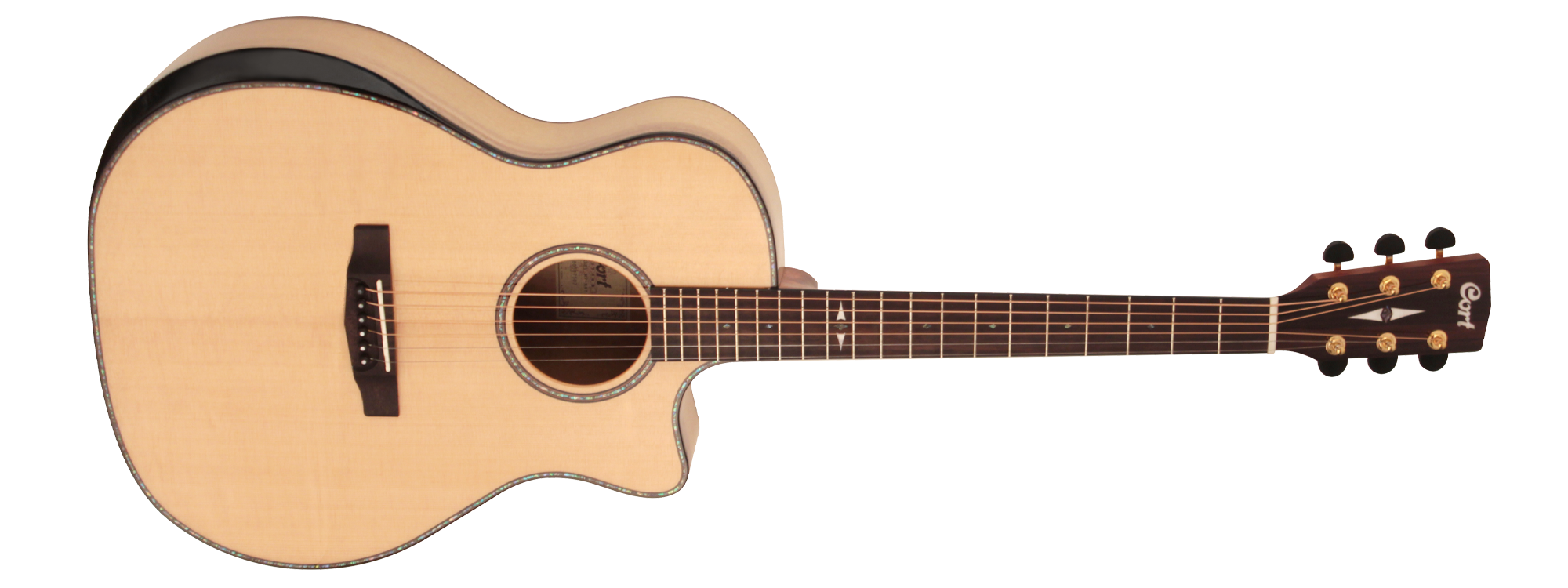 ELEKTRO AKUSTİK GİTAR