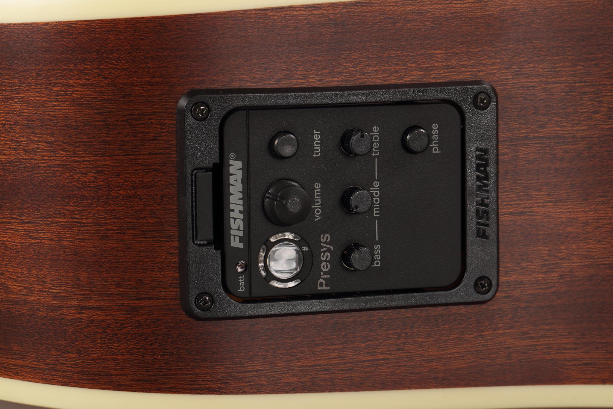 ELEKTRO AKUSTİK GİTAR, NATÜREL SATİN, FISHMAN