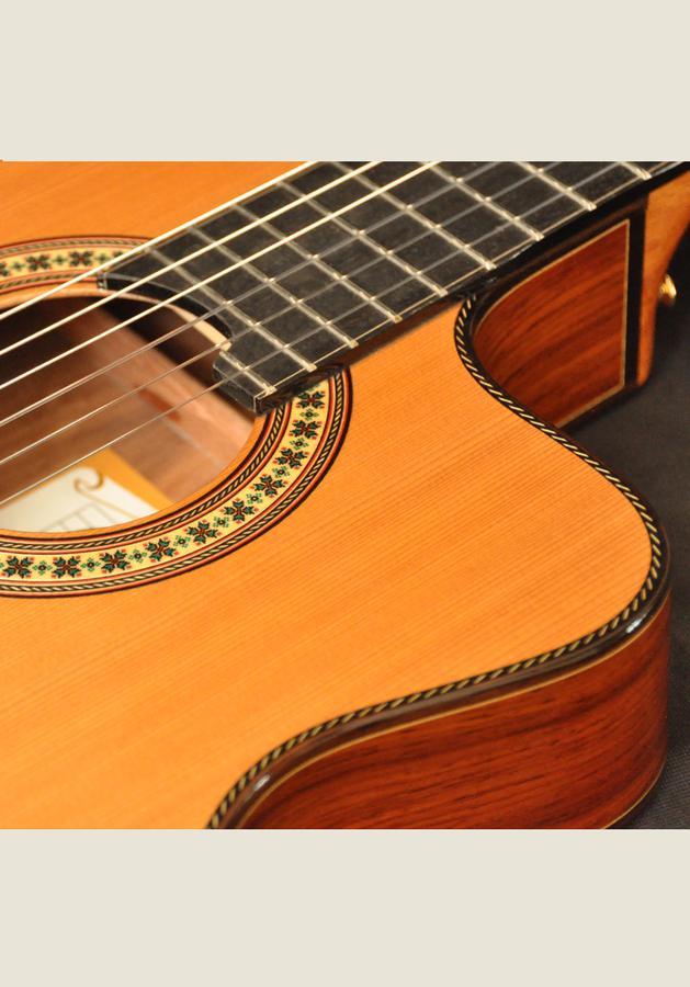 ELEKTRO KLASİK GİTAR LADİN KAPAK FISHMAN PRO BLEND