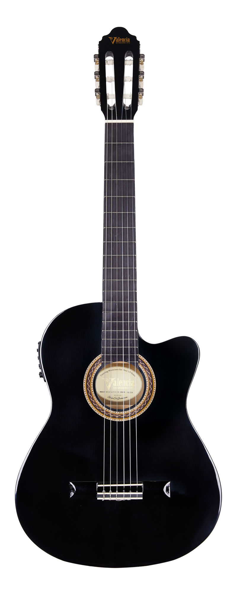 ELEKTRO KLASİK GİTAR SAP ÇELİKLİ 4/4 SİYAH